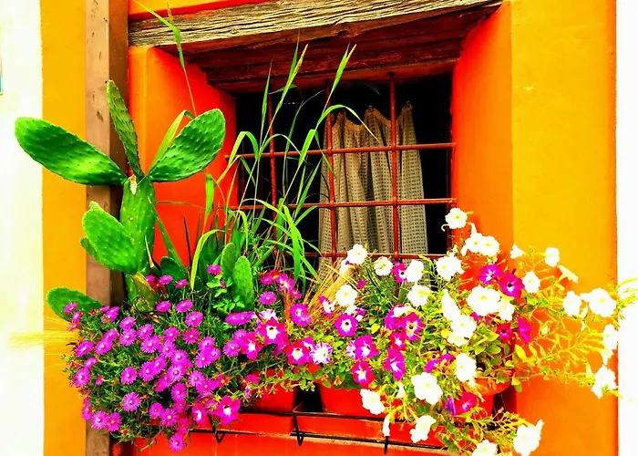 Zanina Country House