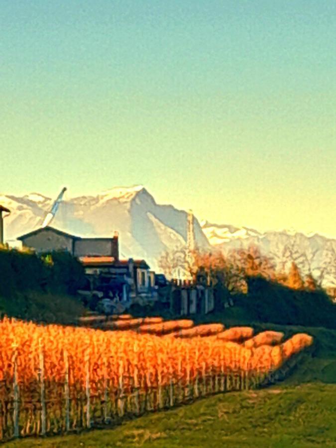 Gasthof Zanina