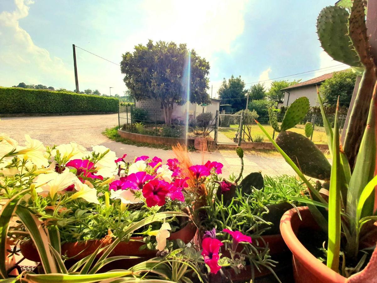 Guest house Zanina